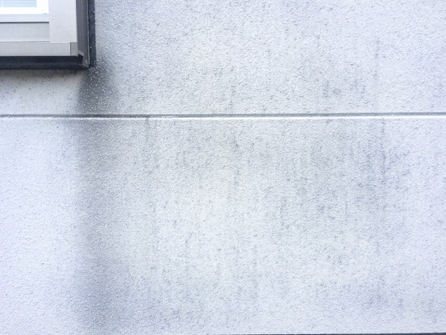 白い外壁を綺麗に維持する方法4選！