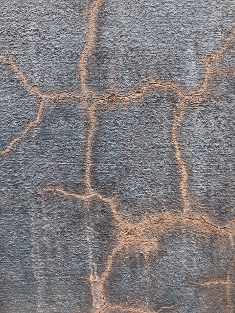 壁のひび割れは放置してはいけない！